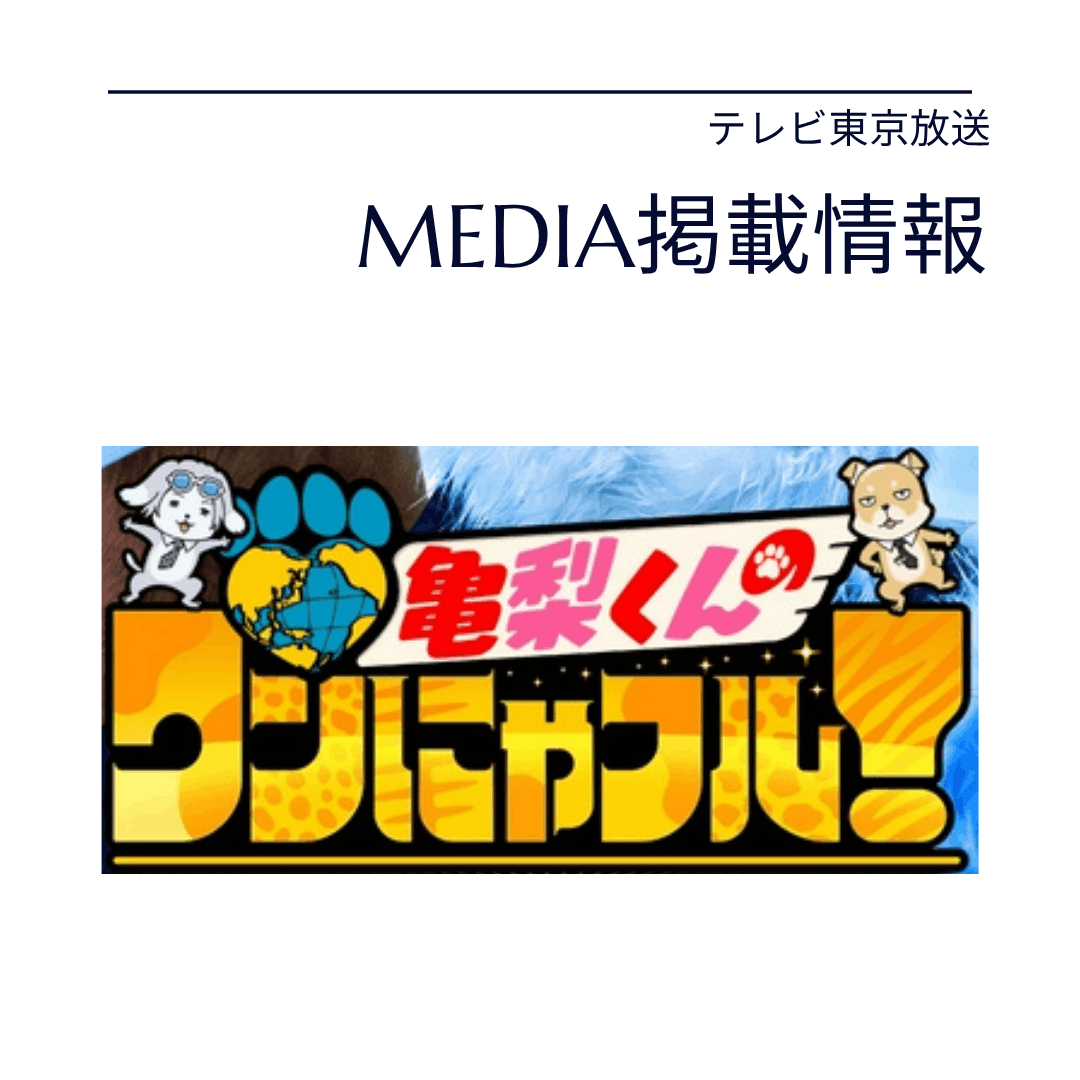 【メディア掲載情報】亀梨くんのワンにゃフル！